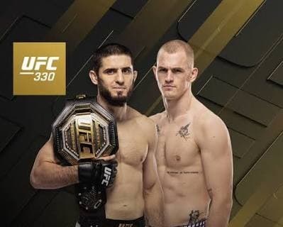 UFC 330